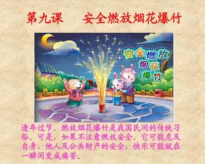 安全燃放烟花要注意什么