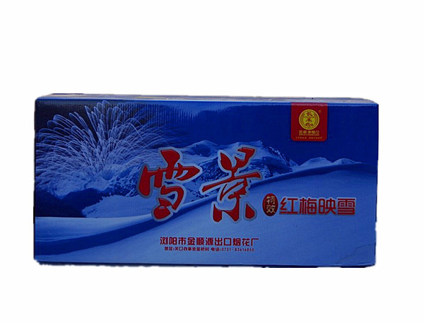 金100发雪景