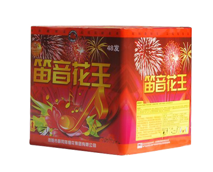 48发笛音系列